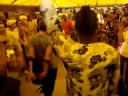 EDILSON SILVA _TRIBE  PSYCHO GARDEN