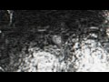 Desire - Round 3