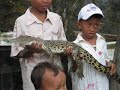 Teritip Crocodile Farm