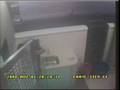 videos de 强奸犯Rogol Taman Megah Pontian,johor