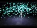 DeiSaku - Sóra