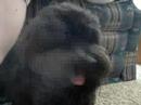 videos de Dasher and Tori Play Time!