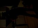 Ezra felt like dancing