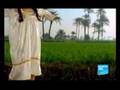 Female genital mutilation still practiced in Egypt