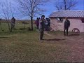 Il colpo di frusta