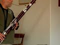 morning bassoon dance,rite of spring, jazz, no bach morning bassoon dance,rite of spring, jazz, no bach