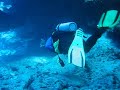 Grand Cayman Grand Cayman