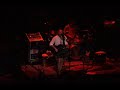 ratdog touch of grey