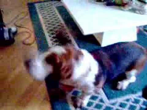 See video