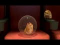 Rhino (Bolt Hamster) on High School Musical