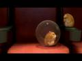 Rhino-Bolt-Hamster-o
