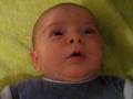 videos de sacha et son nouveau jouet