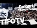 GROBARI .. Pure Passion