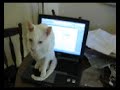 Drew Reports on South Florida\ Drew Reports on South Florida\