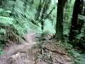 downhill samobor helmet cam 2008