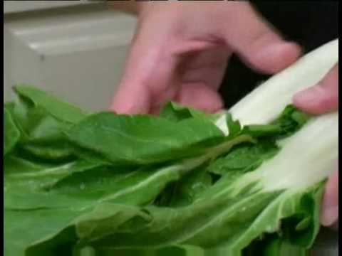how to harvest bok choy