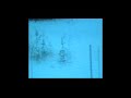 Sequence 01.mp4