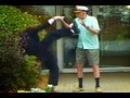 Apauled: Doorman