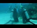 Bayahibe aquario