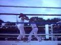 reyna la gitana pasarón vs alejandra rosete ii