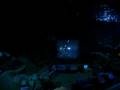 videos de Halloween 2008