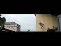 Turkse Tortel/Eurasian Collared Dove jumps, turns and lands Turkse Tortel/Eurasian Collared Dove jumps, turns and lands