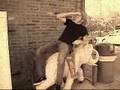 Mainstay Elephant Ride 