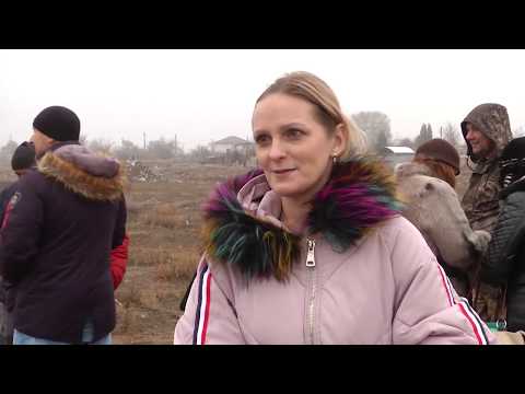 Просмотр видео Просмотр видео