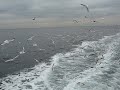 Crusing in Kanagawa Pref.