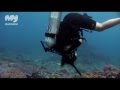 Diving in Bali Waters - Bali