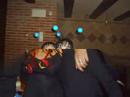 carnaval 2007 carnaval 2007