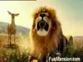 Zingende dieren www.hebberig.be