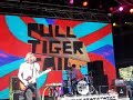 Pull Tiger Tail- Electric Gardens 07