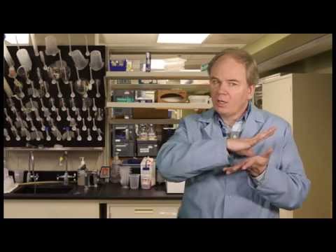 how to dissolve magnesium chloride