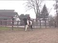 Blettur fra Spor (4,5 jaar) en Veertje (11 jaar)