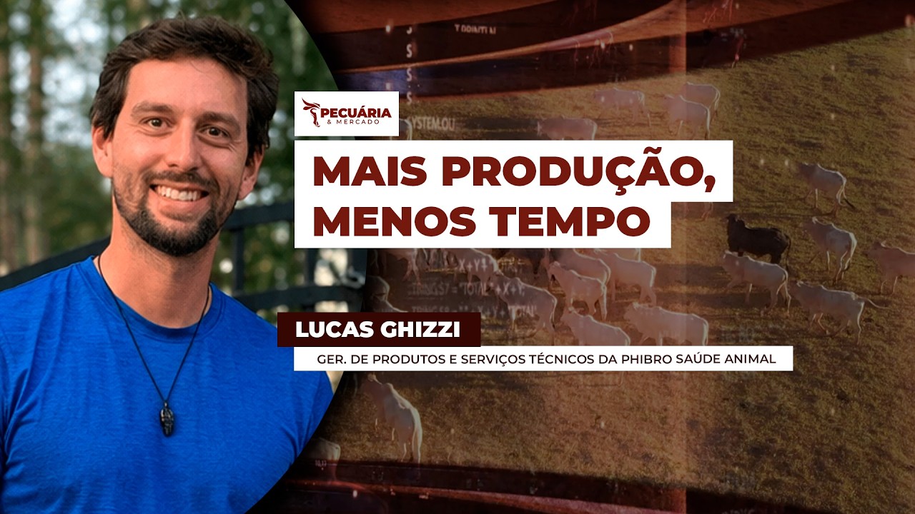 Tecnologia no campo: projeto já transformou a pecuária de milhares de produtores
