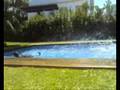 nuka en plancha
