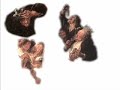 cibo nell\