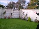 new-7-bullwhip.html