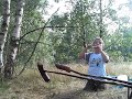 Kocio w brzozowym gaju Kocio w brzozowym gaju