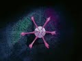 Sailor Moon S ep. 99 parte 1 [Dublado em Portugu�s]