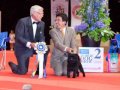 Affenpinscher Banana Joe v. Tani Kazari