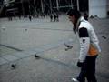 videos de porras con las palomas...xD