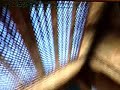 How to get into the Gryffindor Common Room secret level How to get into the Gryffindor Common Room secret level