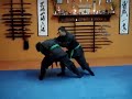 Bujinkan 5 Bujinkan 5
