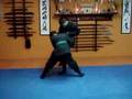 Bujinkan 5