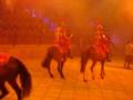 1565 knights spectacular