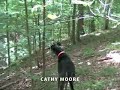 Cathy Moore 2: Where are you based?