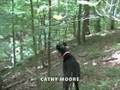 videos de Cathy Moore 2: Where are you based?
