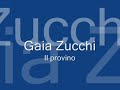 Gaia Zucchi - Il provino